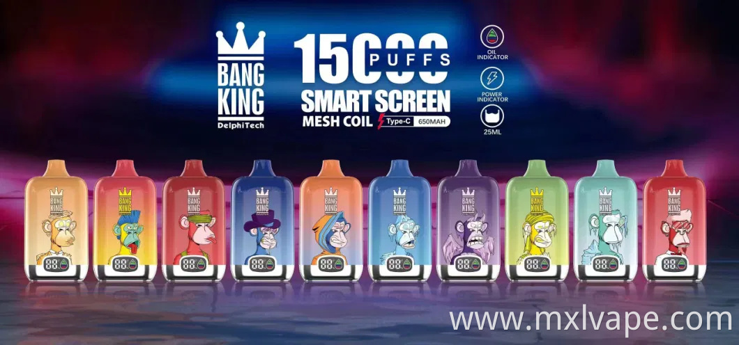 E Cigarette Bang King Smart Screen 15000/15K Puffs Digital Box 12000 Puff Vaporizer